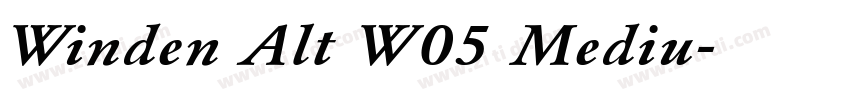 Winden Alt W05 Mediu字体转换